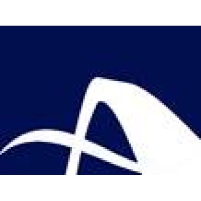 Arch International Group Inc