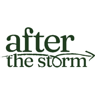 After the Storm - MI