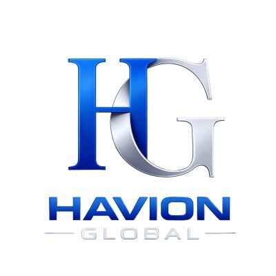 HAVION GLOBAL LLC