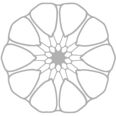 Artichoke