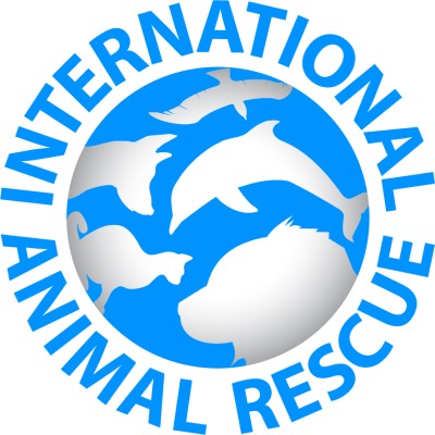 International Animal Rescue
