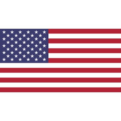 US IT Staffing and Recruitment